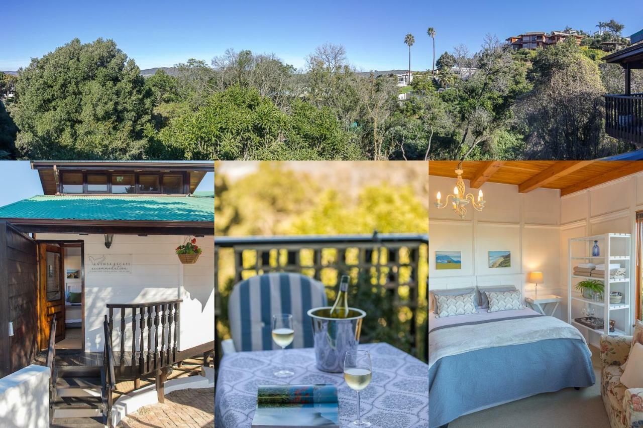 Knysna Escape Accommodation Luaran gambar